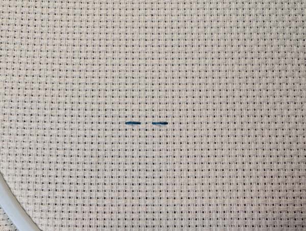Holbein Stitch Two Stitches
