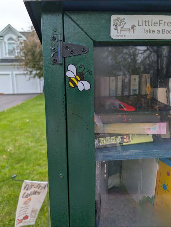Little book library bee closeup