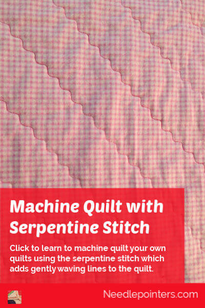 Machine Quilt with Serpentine Stitch - pin