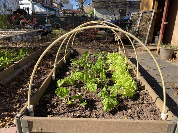 Garden Hoops for Raised Bed