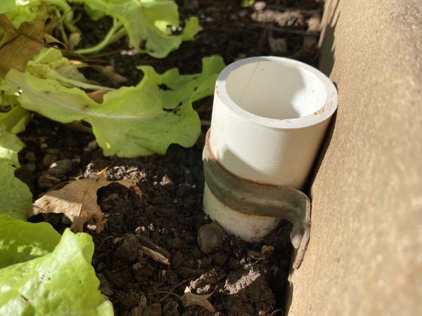 Mini Hoop Tunnel PVC In Garden Bed