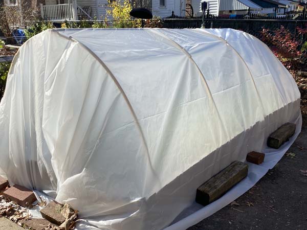 Mini Hoop Tunnel Plastic Installed 2