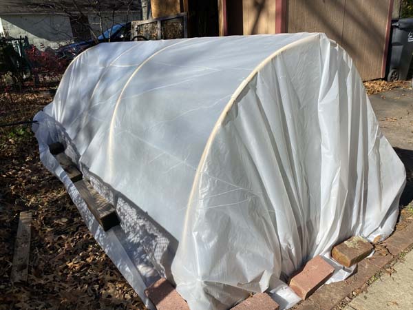 Mini Hoop Tunnel Plastic Installed