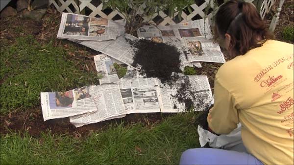 Mulching Flower Beds - Add Mulch