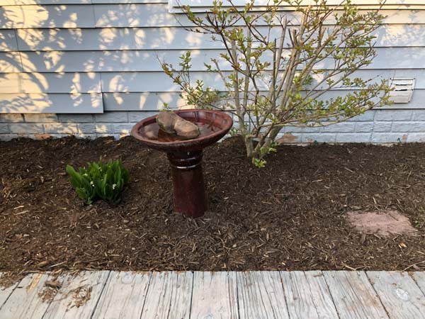 Mulching Flower Beds - Finished Bed with Bird Bath