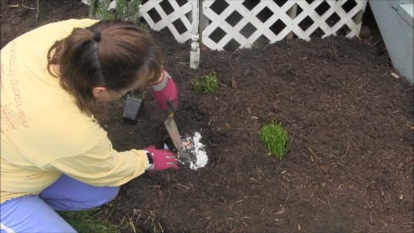 Mulching Flower Beds - Dig Hole
