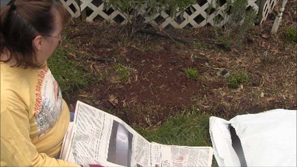 Mulching Flower Beds - Beds ready to mulch