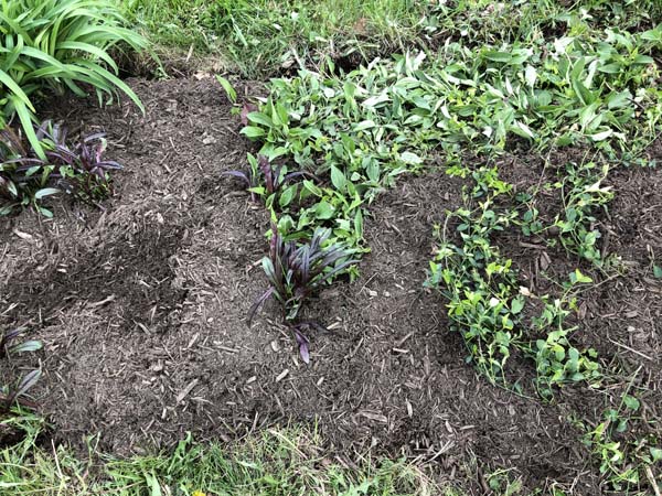 Mulching Flower Beds - Finished