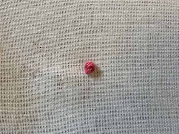 Needlework Colonial Knot Finished2