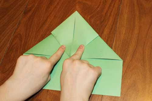 Origami Frog: Step 9
