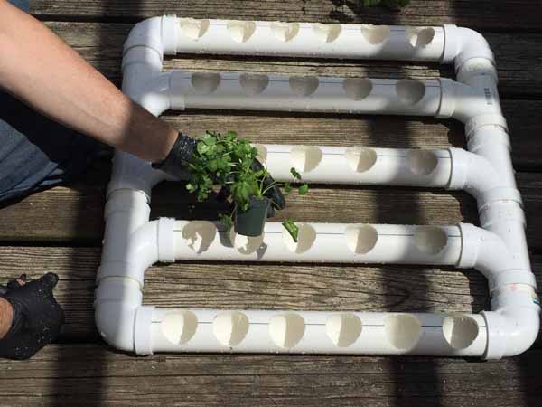 PVC Pipe Planter - Place Pots