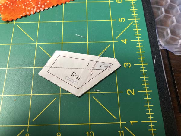 Paper Pieced Butterfly Wall Hanging Section Trimmed