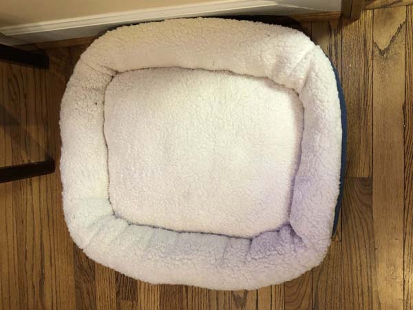 Pet Bed Large on Floor