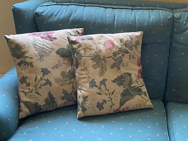 Pillow Cover Two Pillows on Couch