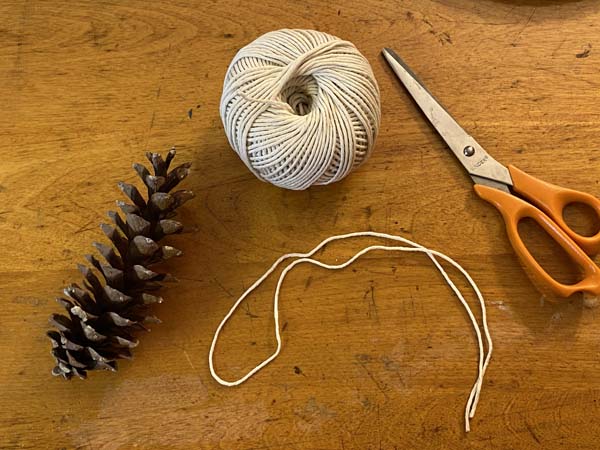 Pine Cone Bird Feeder Cut Twine