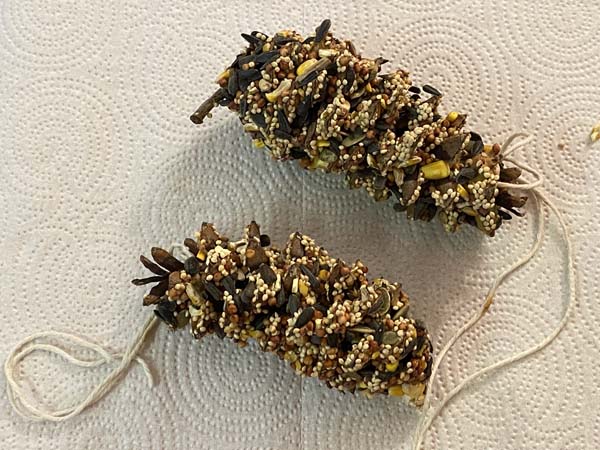 Pine Cone Bird Feeder Finished