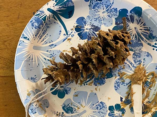 DIY Easy Pine Cone Bird Feeder Craft for Kids | Needlepointers.com