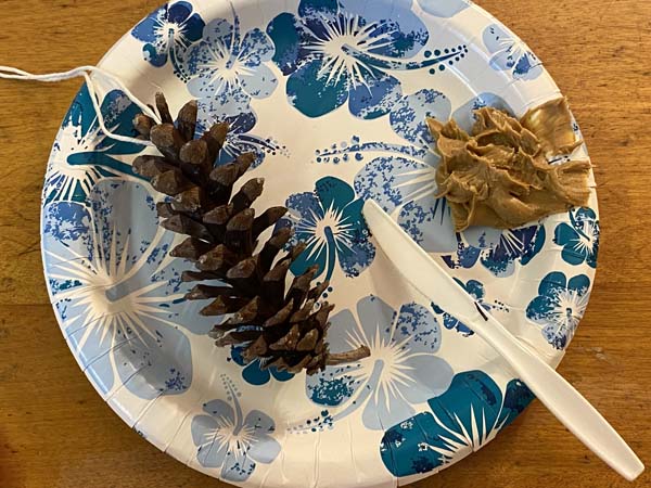 Pine Cone Bird Feeder Pine cone on plate