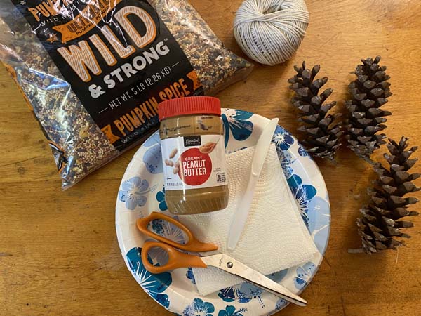 Pine Cone Bird Feeder Supplies