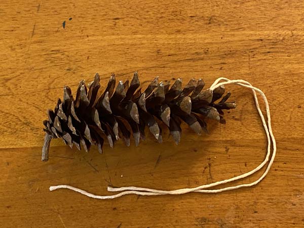 Pine Cone Bird Feeder Tie on Twine