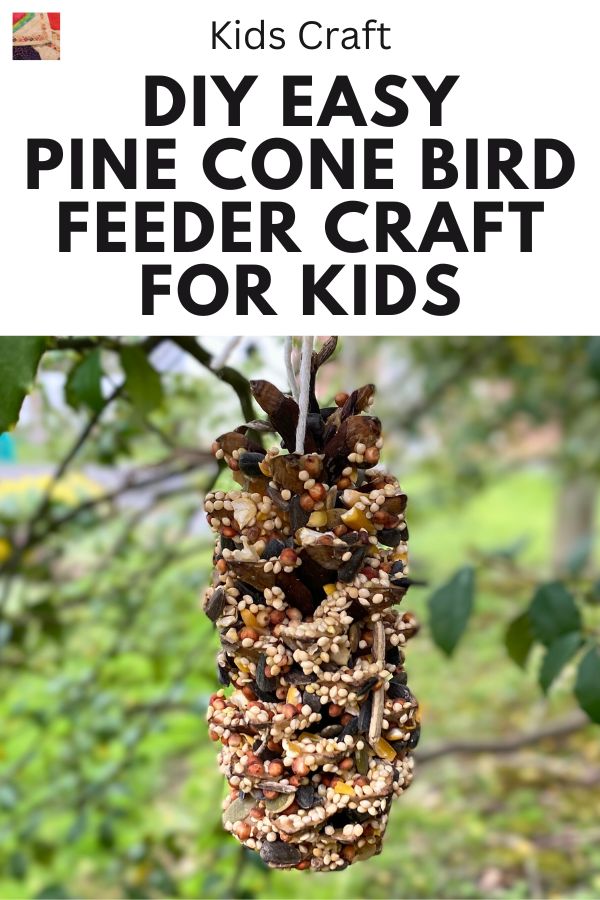 Pine Cone Bird Feeder Tutorial - pin