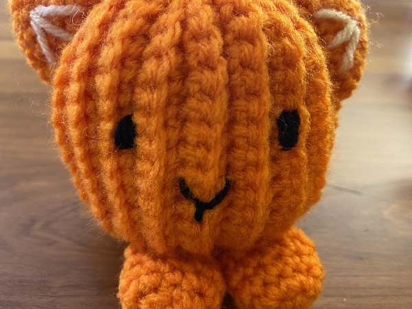 Pumpkin Cat Stitched Eyes Mouth Closeup