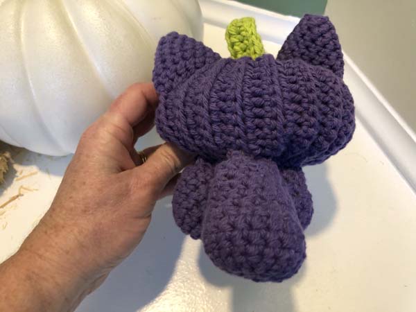 Pumpkin Cats Showing Back