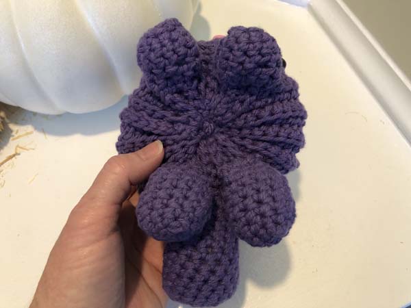 Pumpkin Cats Showing Bottom and Feet