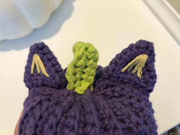 Pumpkin Cats Showing Ears and Stem