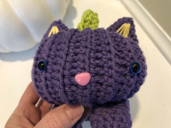 Pumpkin Cats Showing Face