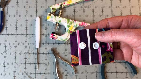 Remove Kam Snaps Showing Snaps