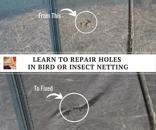 Learn to Repair Bird and Insect Netting - fb
