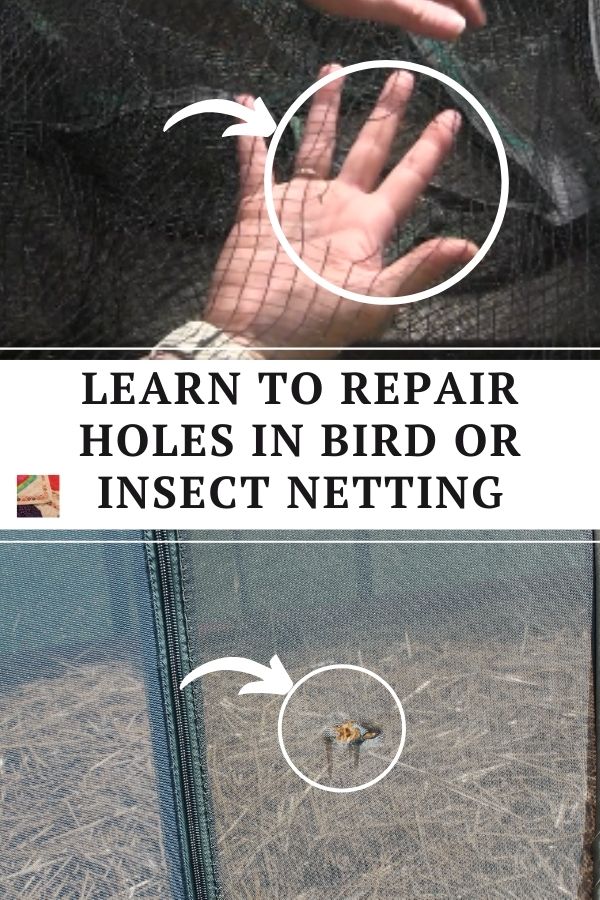 Repair Bird Insect Netting - pin