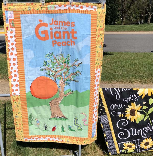 Scrappy Panel Quilt 1 Hanging Outside