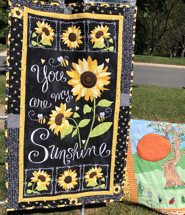 Pieced Border Panel Quilt with Free Pattern