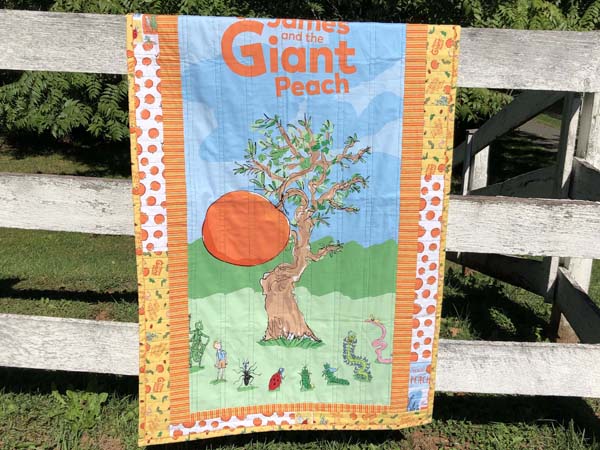 Scrappy Panel Quilt Finished Outside