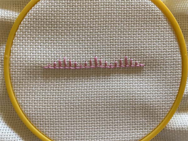 Short Long Blanket Stitch Completed 2