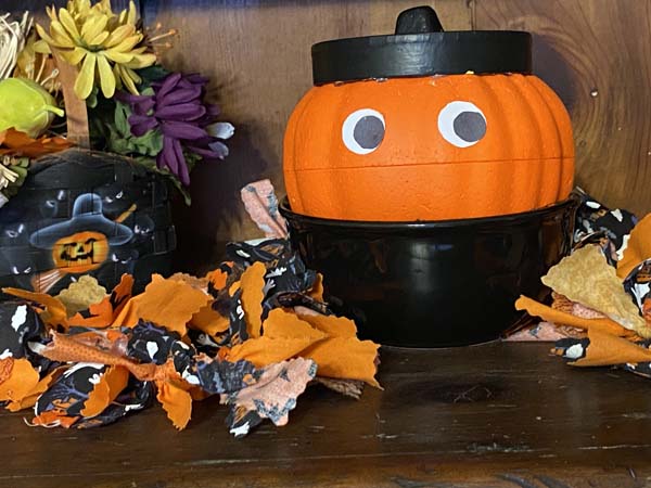 Shy DIY Pumpkin Craft Finished