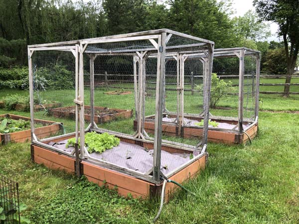 Squirrel Proof Beds 2024