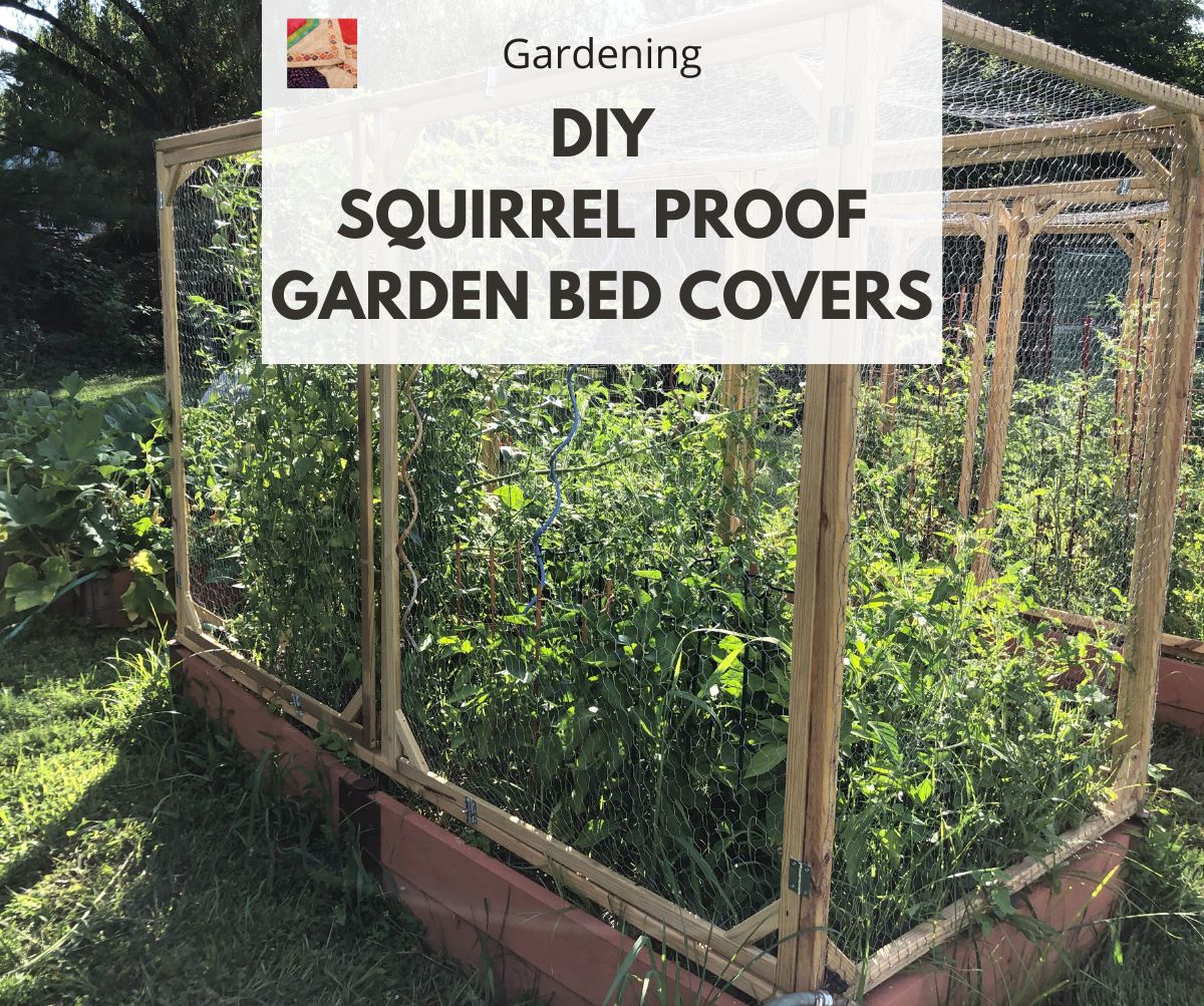 How To Keep Squirrels Out Of A Raised Garden Bed Fasci Garden