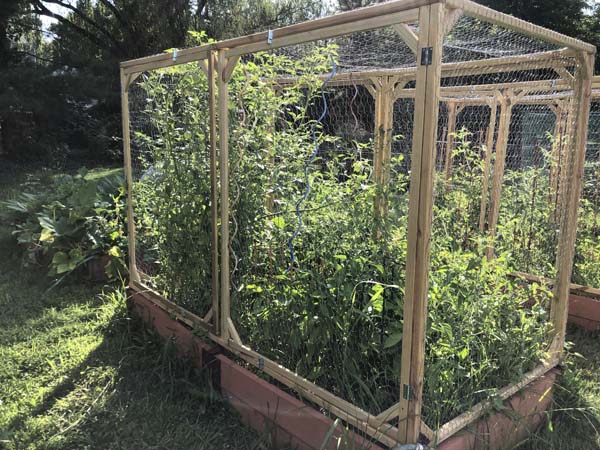 Squirrel Proof Garden Covers Finished 2