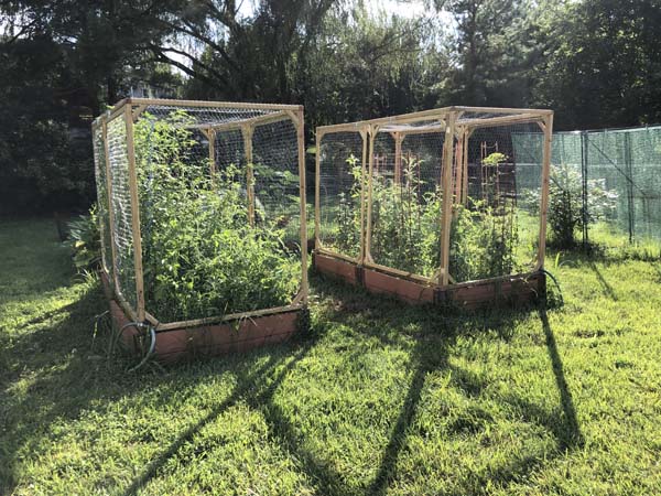 Squirrel Proof Garden Covers Finished