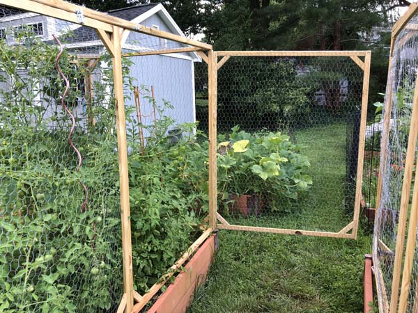 Squirrel Proof Garden Covers Open Door Between Beds