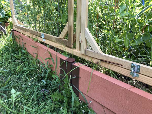 Squirrel Proof Garden Covers Show hinges