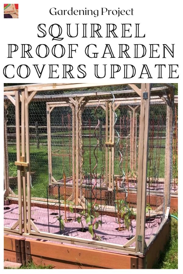 DIY Garden Bed Cover protect from Animals - 1 year update - pin