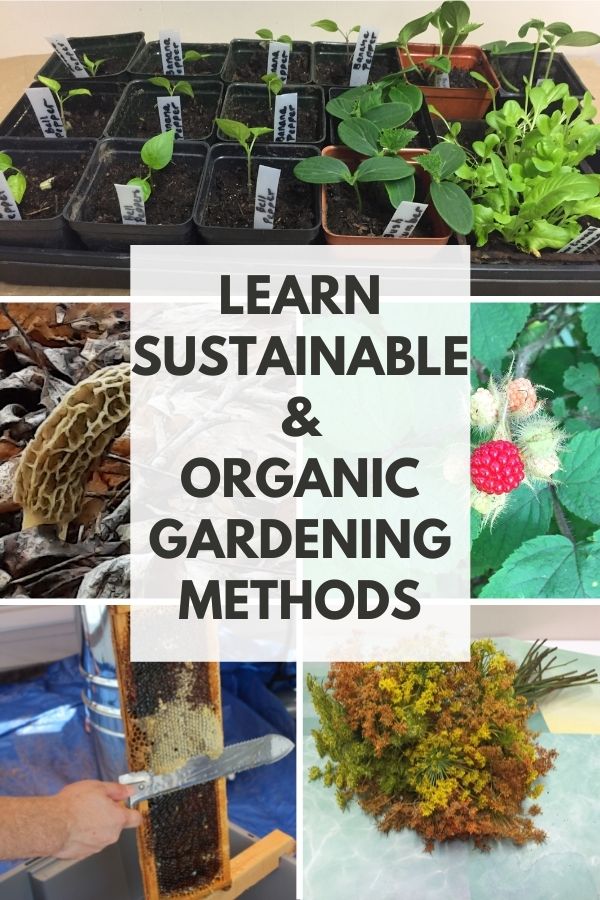 Sustainable and Organic Gardening