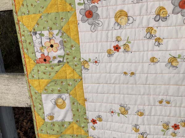 Sweet Bees Quilt 2 closeup blocks