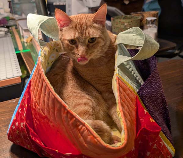 Sweet Pea Fabric Boxes 14 Newt In Fabric Box