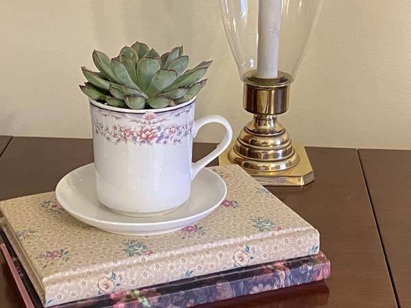 Teacup Planter Finished on Books