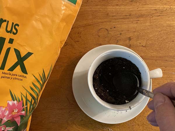 Teacup Planter Make Well in Soil